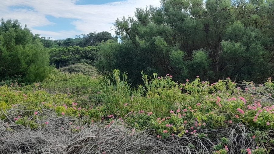 0 Bedroom Property for Sale in Emerald Heights Eastern Cape